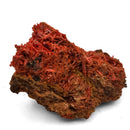 Crocoite - Specimen
