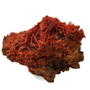 Crocoite - Specimen