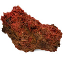 Crocoite - Specimen