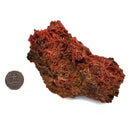 Crocoite - Specimen
