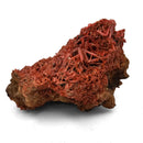 Crocoite - Specimen