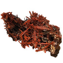 Crocoite - Specimen