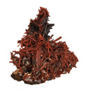 Crocoite - Specimen