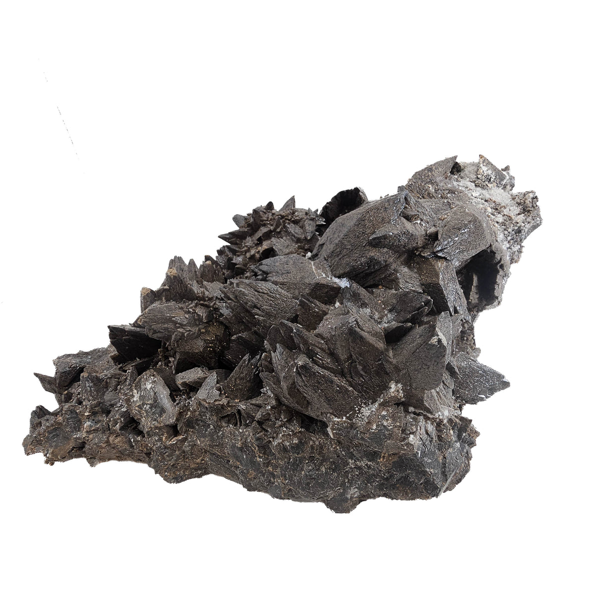 Crowsfeet Calcite - Specimen from Mexico, view 11 of 15