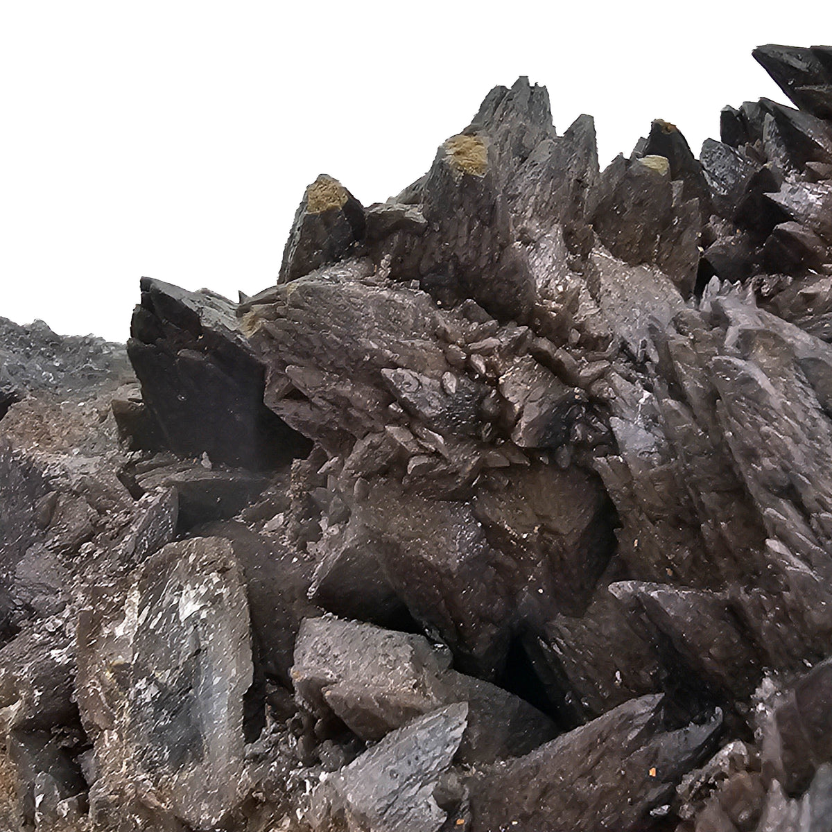 Crowsfeet Calcite - Specimen from Mexico, view 12 of 15