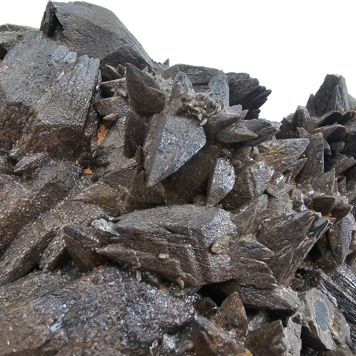 Crowsfeet Calcite - Specimen from Mexico, view 4 of 15
