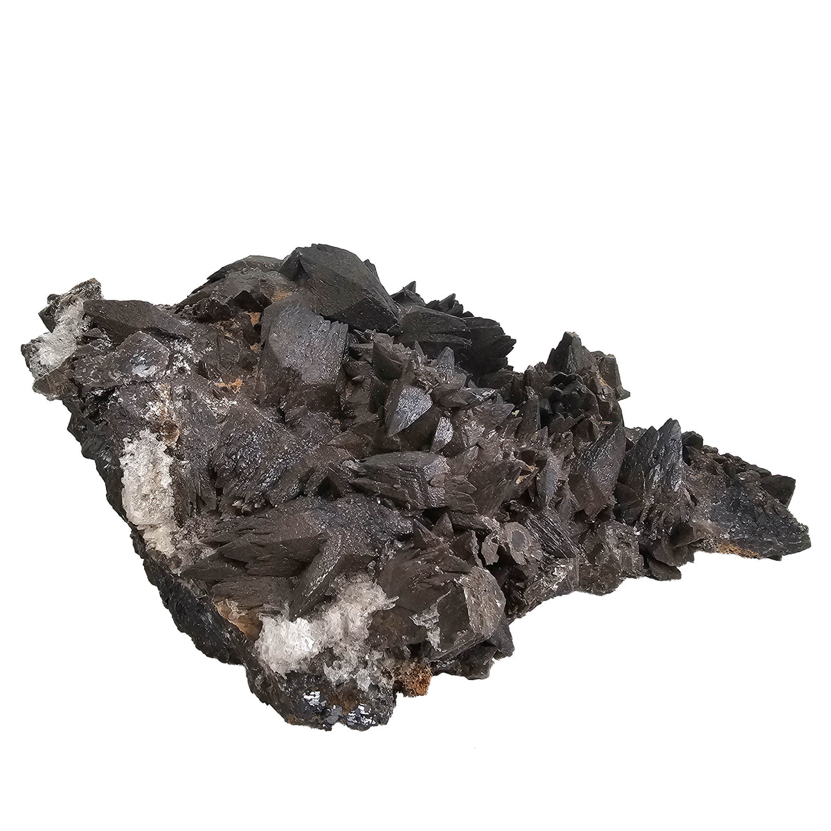 Crowsfeet Calcite - Specimen from Mexico, view 3 of 15