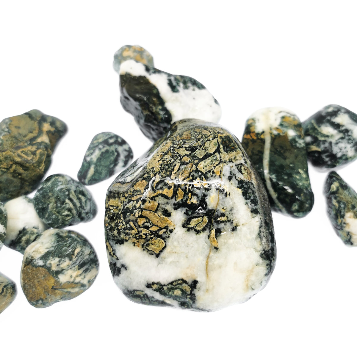 Dallasite rough from Vancouver Island, British Columbia, Canada.