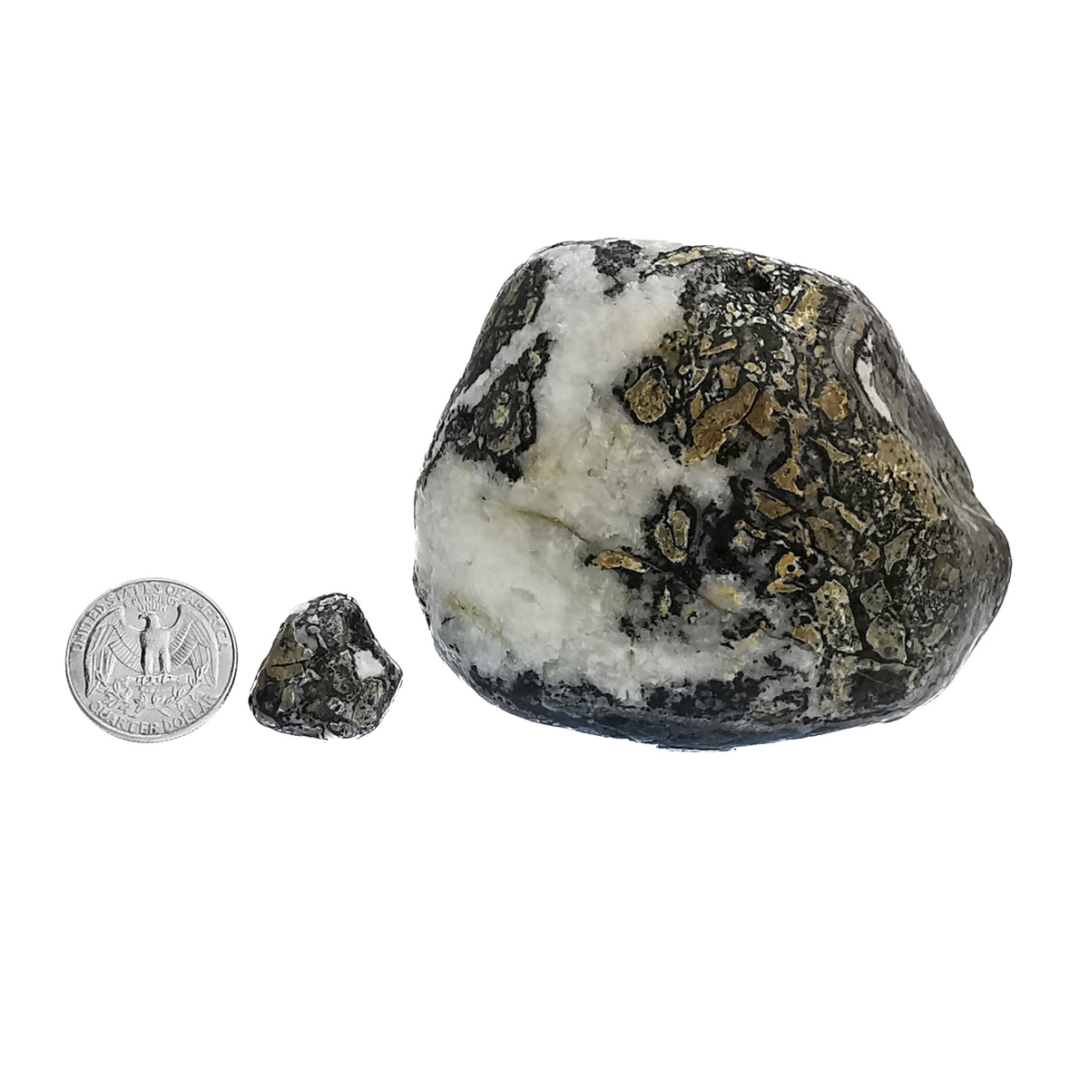 Dallasite rough from Vancouver Island, British Columbia, Canada.