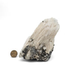 Danburite - Specimen