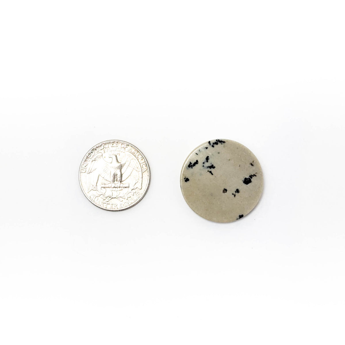 Dendritic Agate flat disk, a variety of chalcedony.