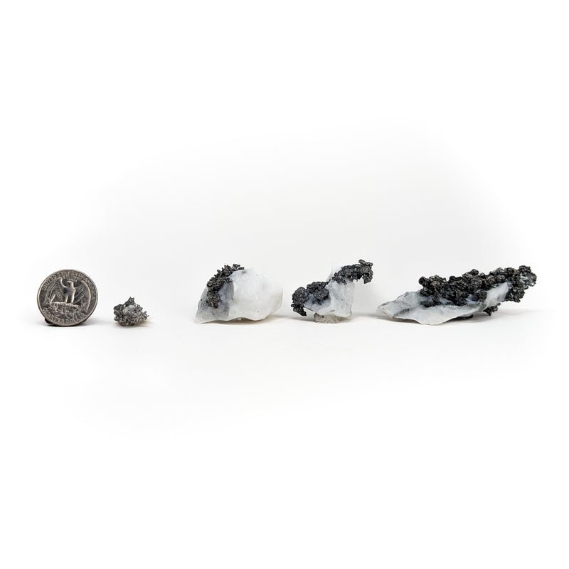 Dendritic Silver Ore in Calcite - Mineral