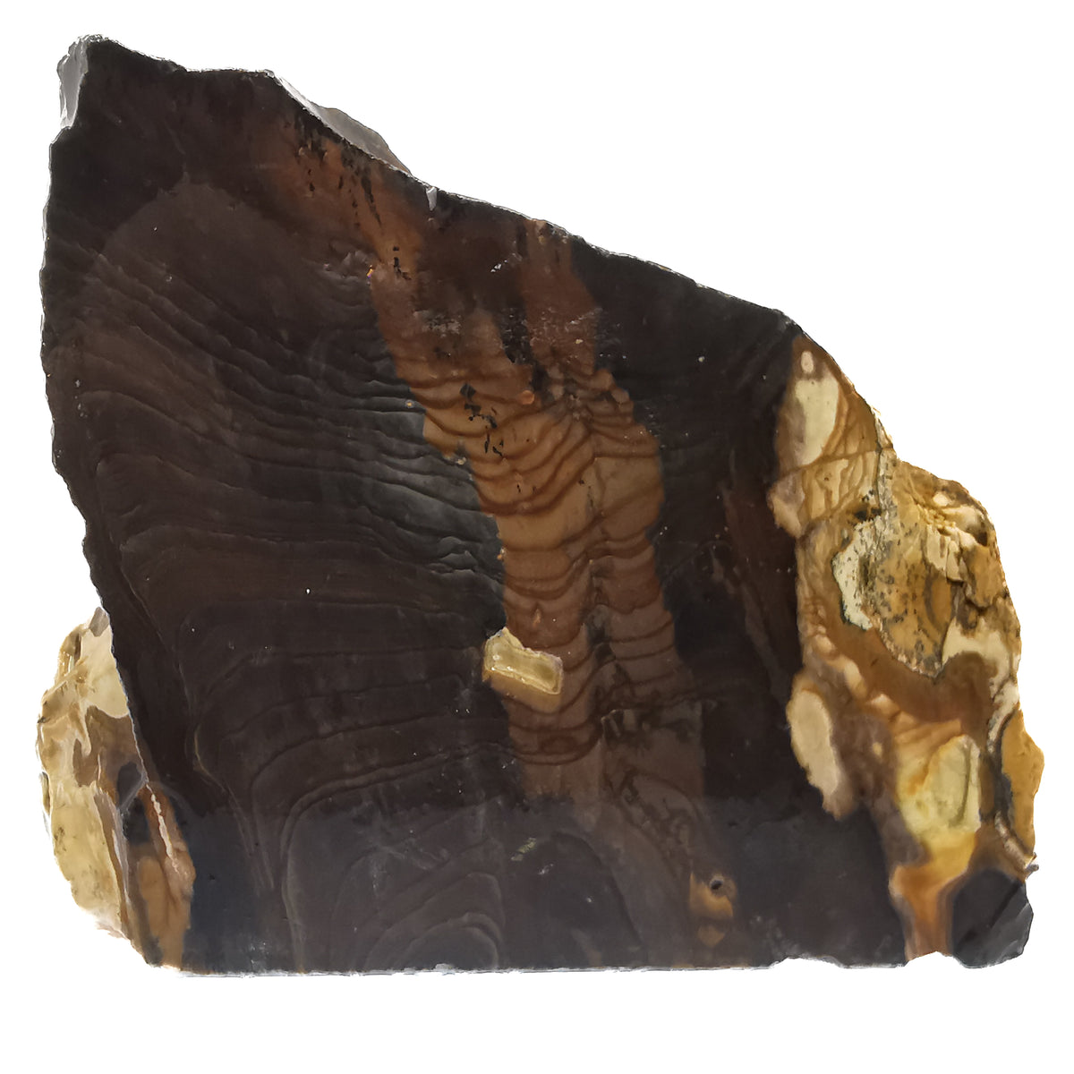 Biggs Jasper rough from near Biggs Junction, Oregon, USA.
