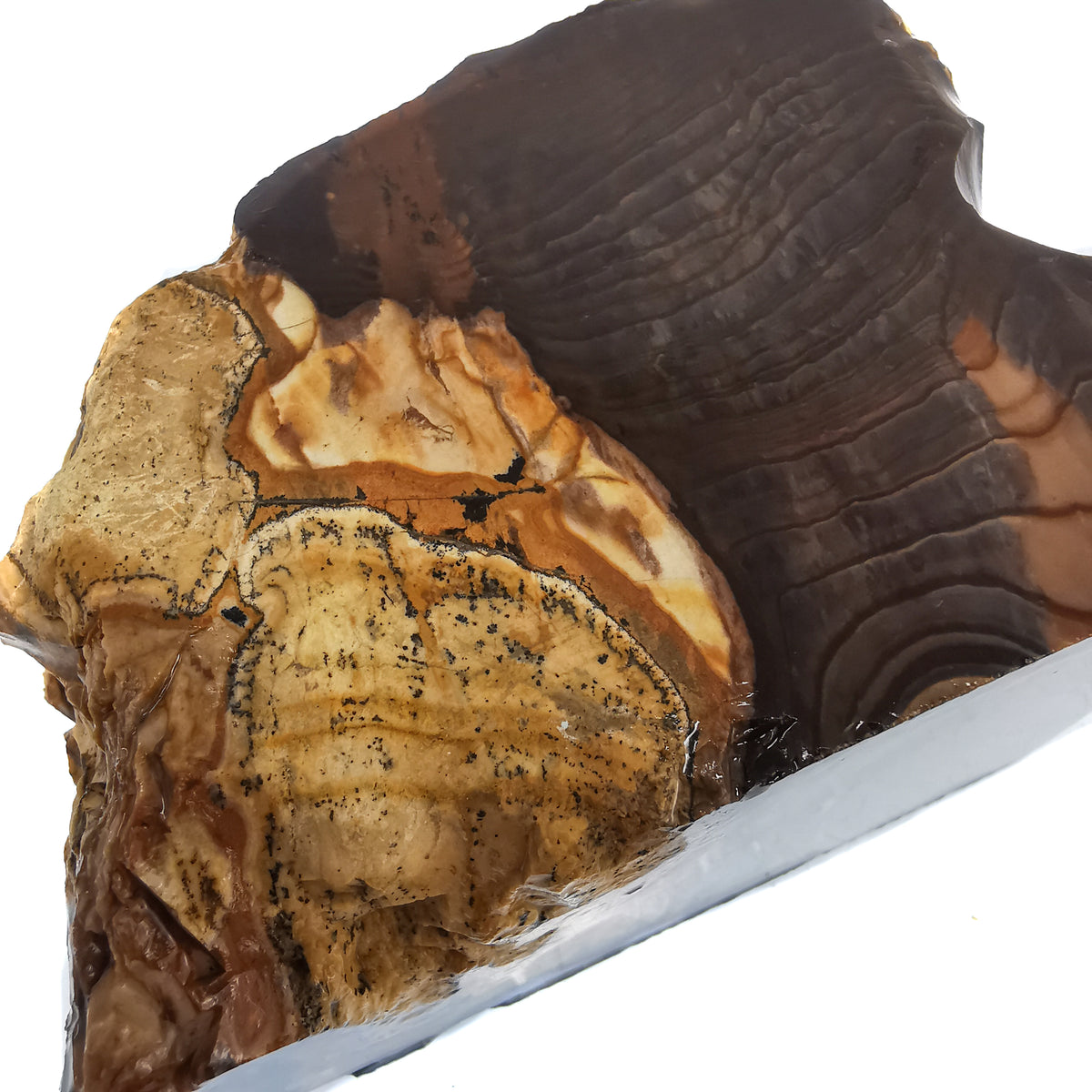 Biggs Jasper rough from near Biggs Junction, Oregon, USA.