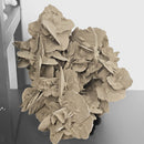 Desert Rose (Gypsum) - Statement Specimen