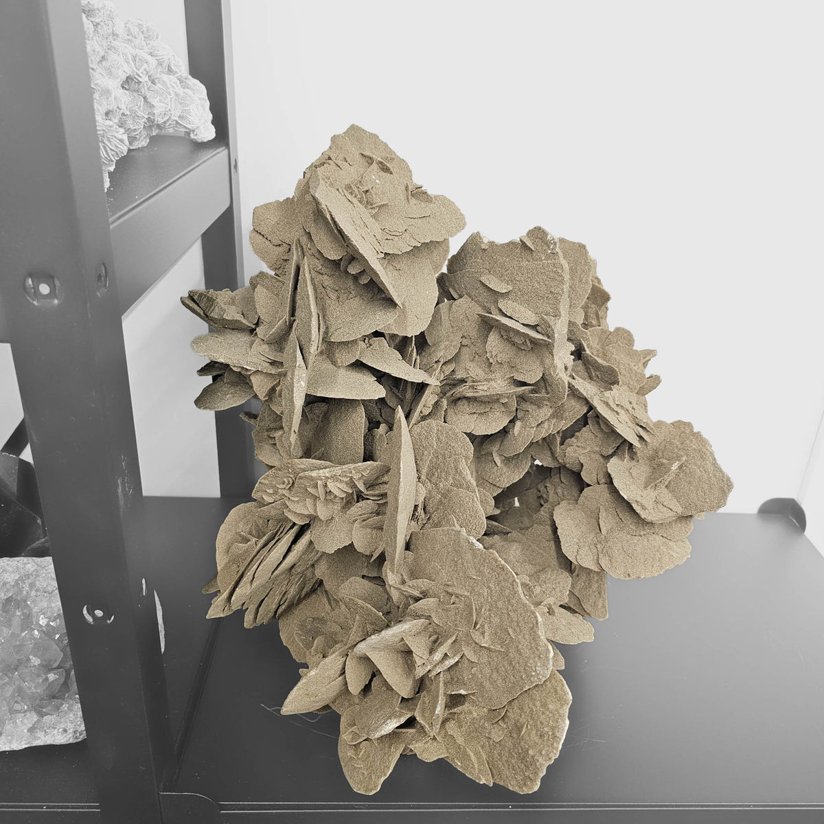 Desert Rose (Gypsum) statement specimen.