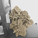 Desert Rose (Gypsum) - Statement Specimen
