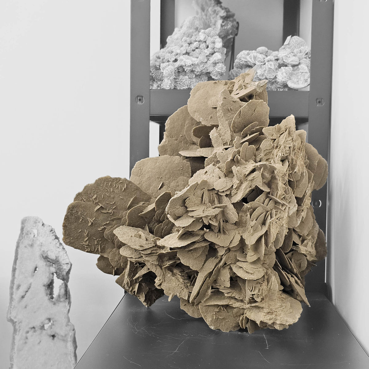 Desert Rose (Gypsum) statement specimen.