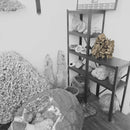 Desert Rose (Gypsum) - Statement Specimen