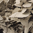 Desert Rose (Gypsum) - Statement Specimen