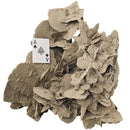 Desert Rose (Gypsum) - Statement Specimen