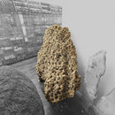 Desert Rose (Selenite) - Rolling Stand - Statement Specimen