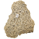 Desert Rose (Selenite) - Rolling Stand - Statement Specimen