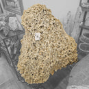 Desert Rose (Selenite) - Rolling Stand - Statement Specimen