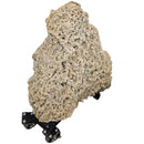 Desert Rose (Selenite) - Rolling Stand - Statement Specimen