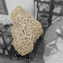 Desert Rose (Selenite) - Rolling Stand - Statement Specimen