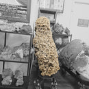 Desert Rose (Selenite) - Rolling Stand - Statement Specimen