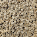 Desert Rose (Selenite) - Rolling Stand - Statement Specimen
