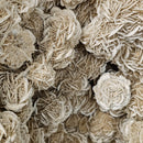 Desert Rose (Selenite) - Rolling Stand - Statement Specimen
