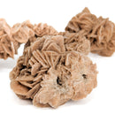 Desert Rose (Gypsum) - Mineral