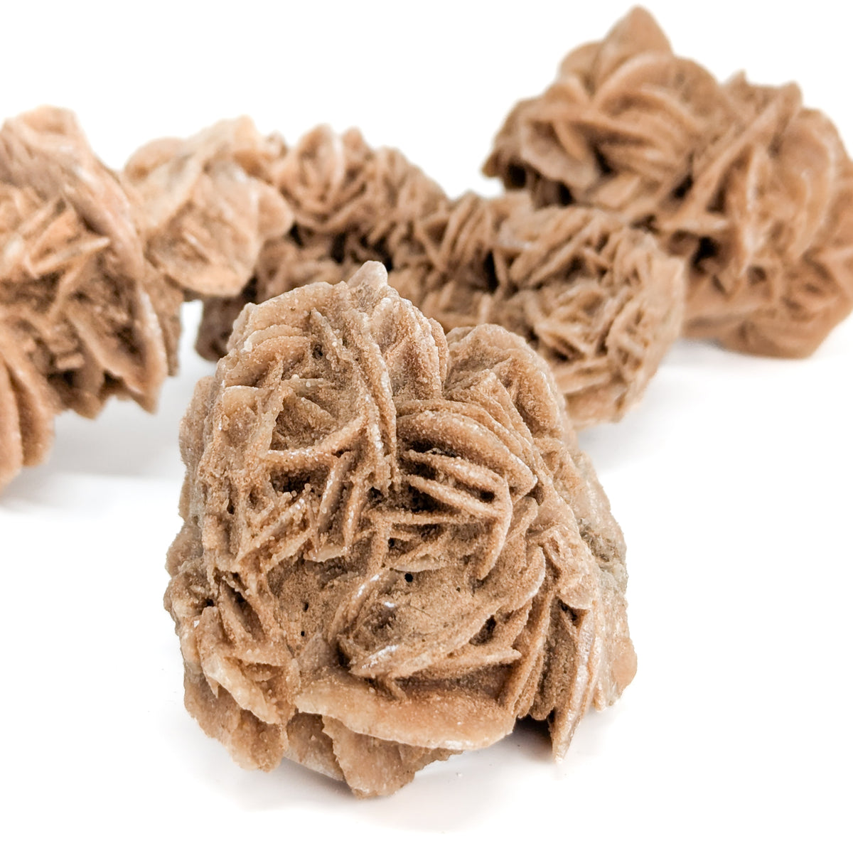 Desert Rose (Gypsum) specimen from Algeria.