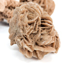 Desert Rose (Gypsum) - Mineral