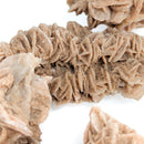 Desert Rose (Gypsum) - Mineral
