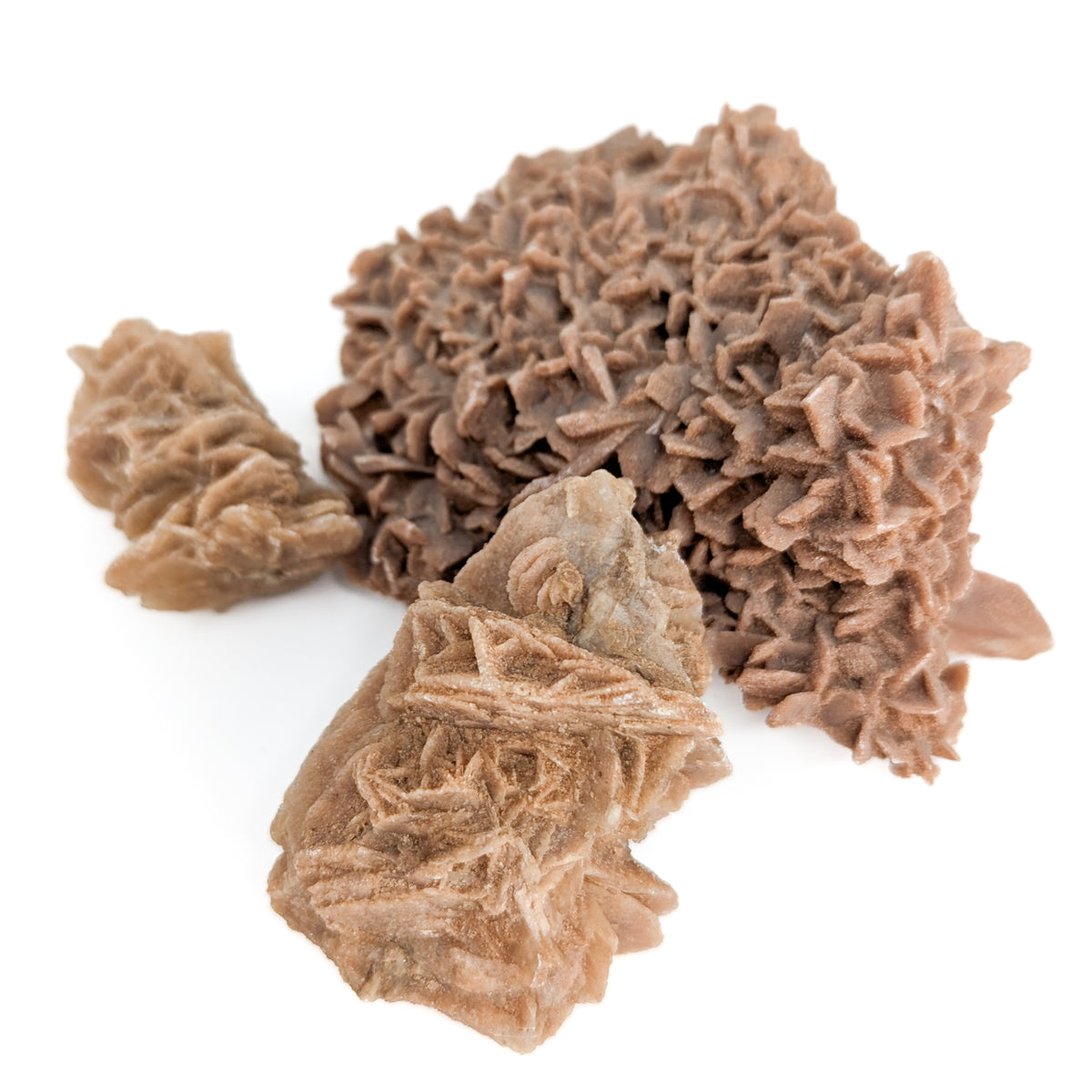 Desert Rose (Gypsum) specimen from Algeria.