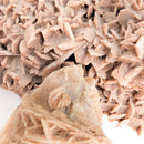 Desert Rose (Gypsum) - Mineral