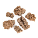 Desert Rose (Gypsum) - Mineral