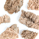 Desert Rose (Gypsum) - Mineral
