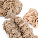 Desert Rose (Gypsum) - Mineral