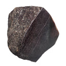 Dinosaur Bone Fragment - Fossil Specimen