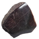 Dinosaur Bone Fragment - Fossil Specimen