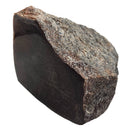 Dinosaur Bone Fragment - Fossil Specimen