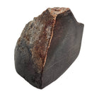 Dinosaur Bone Fragment - Fossil Specimen