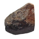 Dinosaur Bone Fragment - Fossil Specimen