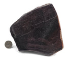 Dinosaur Bone Fragment - Fossil Specimen