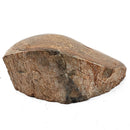 Dinosaur Bone Fragment - Fossil Specimen