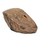 Dinosaur Bone Fragment - Fossil Specimen